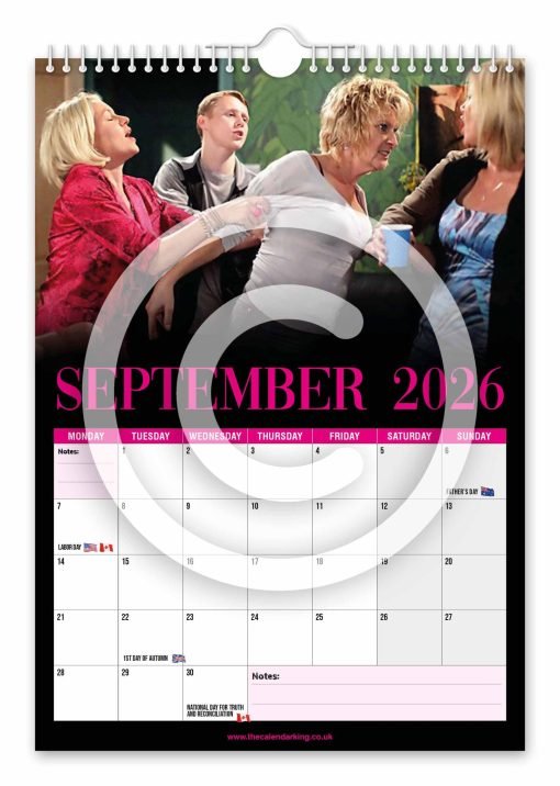Shirley Carter Novelty Calendar - Image 10
