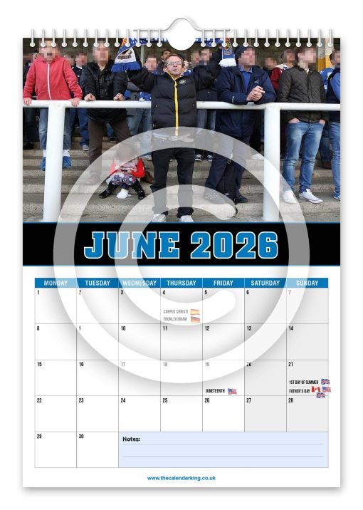 Wealdstone Raider Novelty Calendar - Image 7