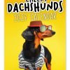 Cheeky Dachshunds Novelty Calendar