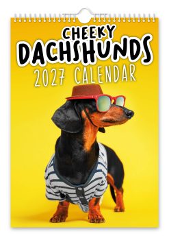 Cheeky Dachshunds Novelty Calendar