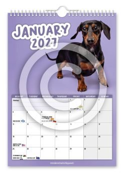 Alternative view of Cheeky Dachshunds Novelty Calendar