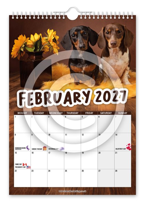 Cheeky Dachshunds Novelty Calendar - Image 3