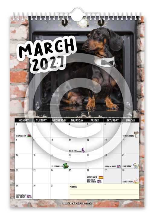 Cheeky Dachshunds Novelty Calendar - Image 4