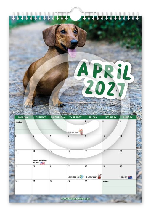 Cheeky Dachshunds Novelty Calendar - Image 5