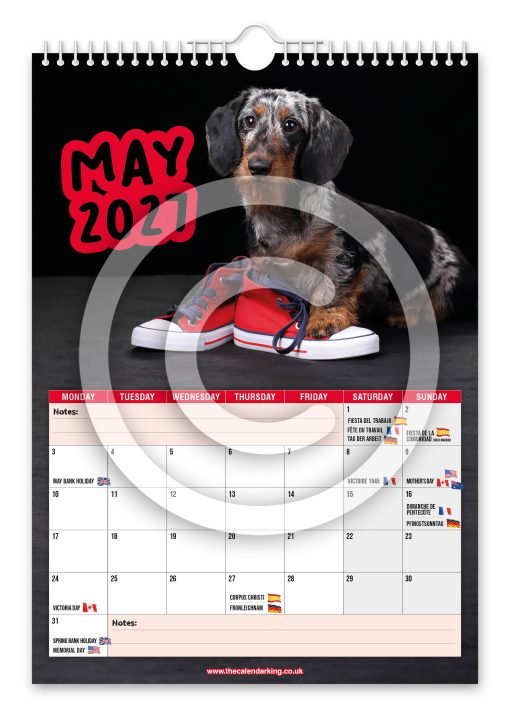 Cheeky Dachshunds Novelty Calendar - Image 6
