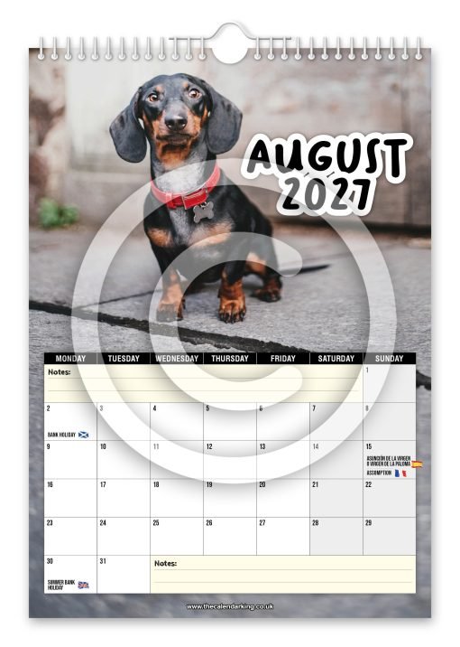 Cheeky Dachshunds Novelty Calendar - Image 9