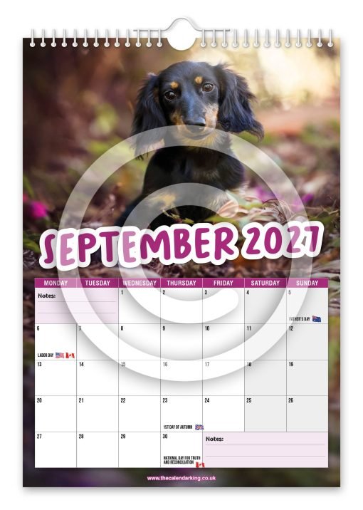 Cheeky Dachshunds Novelty Calendar - Image 10