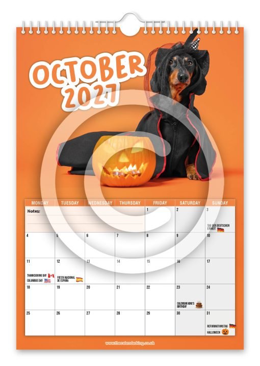 Cheeky Dachshunds Novelty Calendar - Image 11