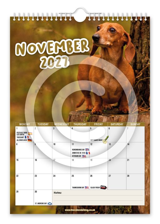Cheeky Dachshunds Novelty Calendar - Image 12