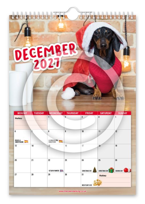 Cheeky Dachshunds Novelty Calendar - Image 13