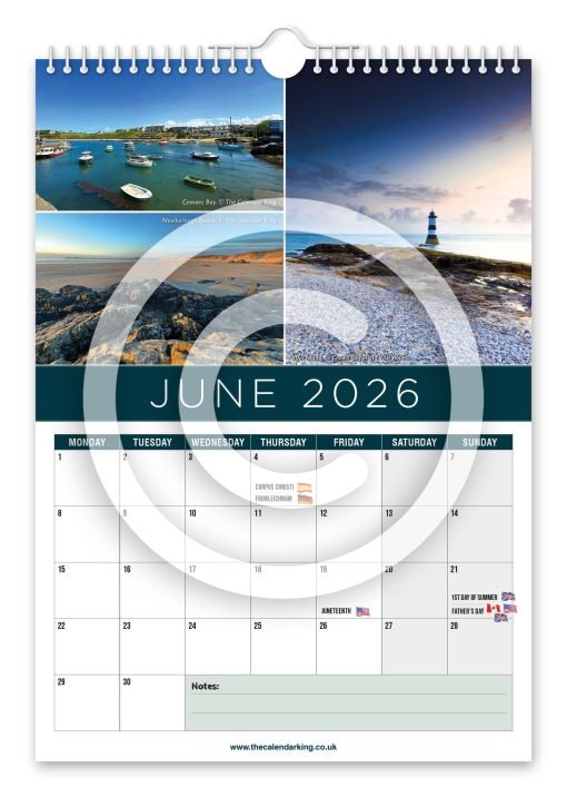 Anglesey Novelty Calendar - Image 7