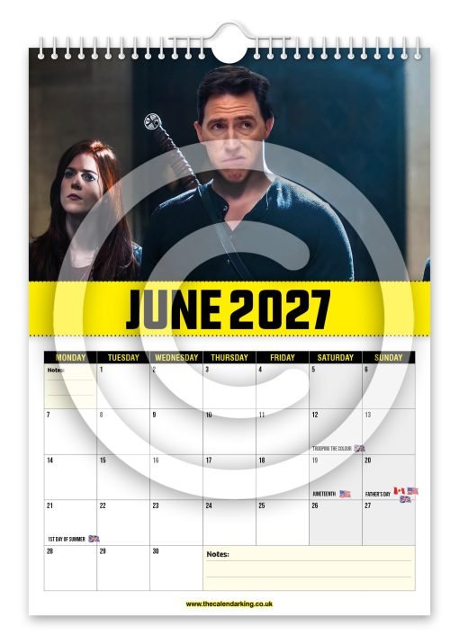 Bryn Diesel Novelty Calendar - Image 7