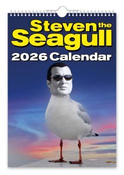 Steven the Seagull Novelty Calendar