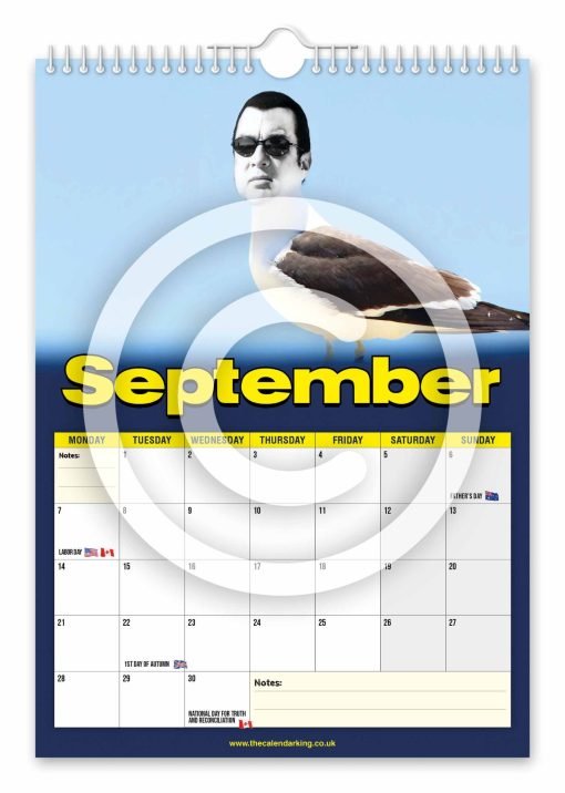 Steven the Seagull Novelty Calendar - Image 10