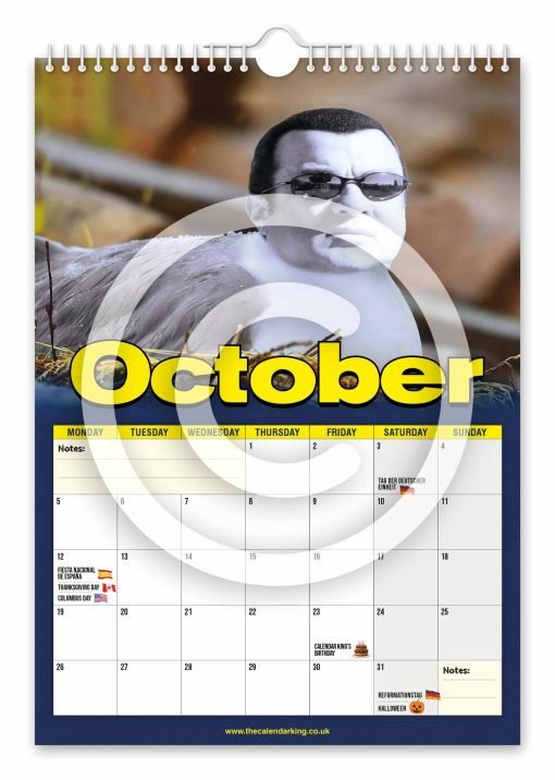 Steven the Seagull Novelty Calendar - Image 11