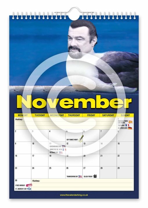 Steven the Seagull Novelty Calendar - Image 12