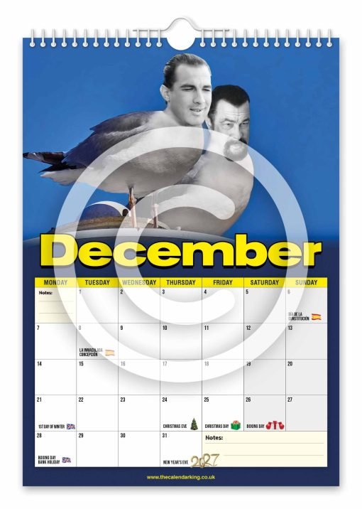 Steven the Seagull Novelty Calendar - Image 13