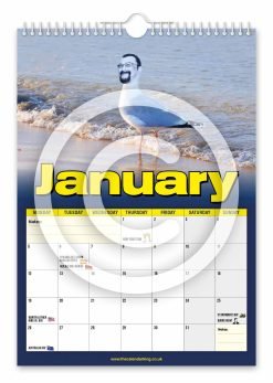 Alternative view of Steven the Seagull Novelty Calendar