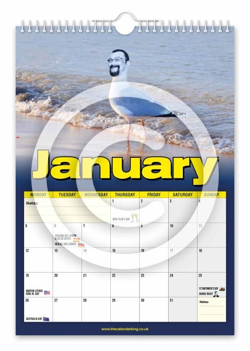 Steven the Seagull Novelty Calendar - Image 2
