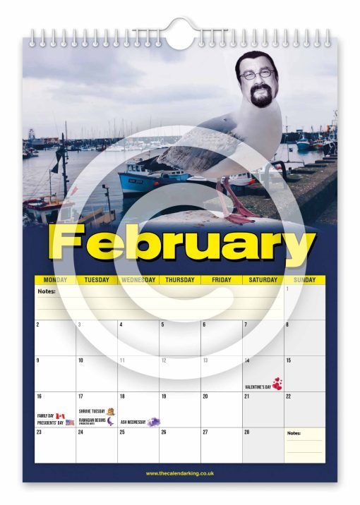 Steven the Seagull Novelty Calendar - Image 3