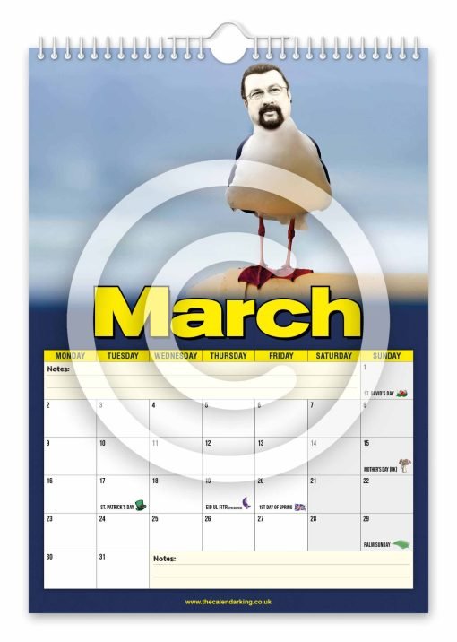 Steven the Seagull Novelty Calendar - Image 4