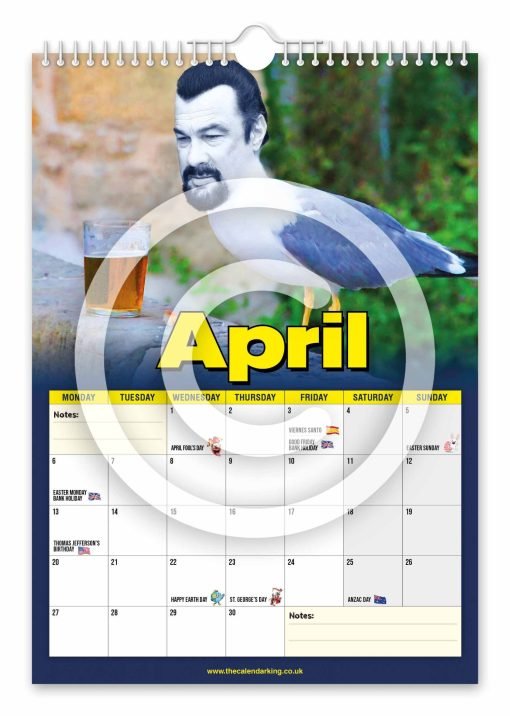 Steven the Seagull Novelty Calendar - Image 5