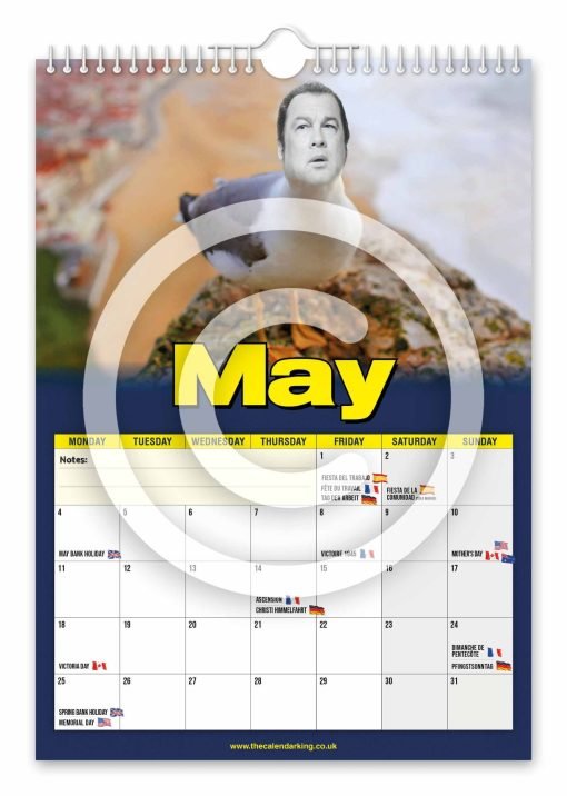 Steven the Seagull Novelty Calendar - Image 6