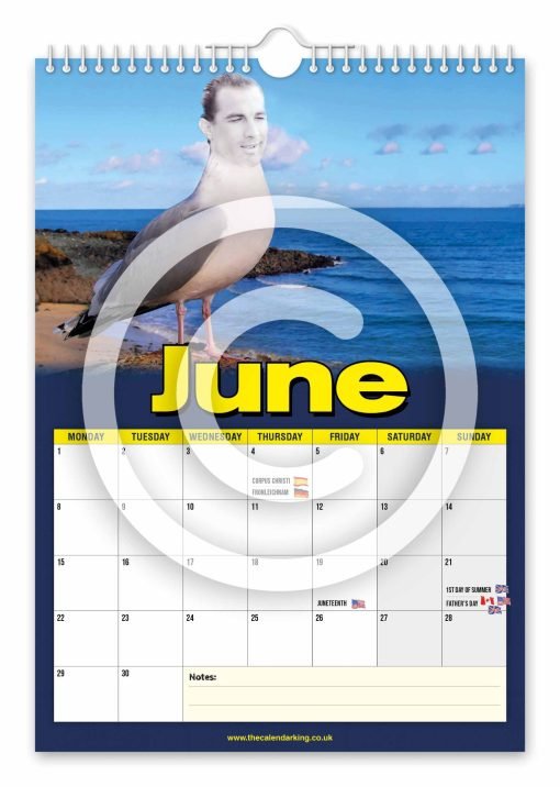 Steven the Seagull Novelty Calendar - Image 7