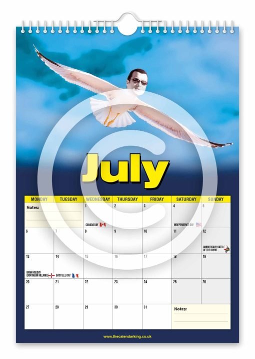 Steven the Seagull Novelty Calendar - Image 8