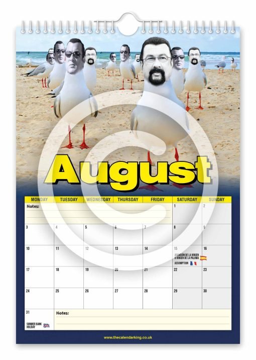 Steven the Seagull Novelty Calendar - Image 9