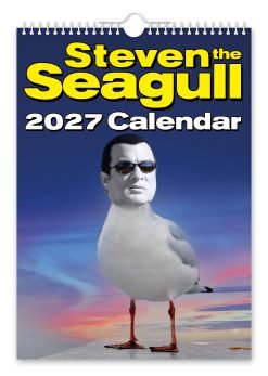 Steven the Seagull Novelty Calendar