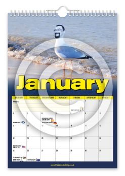 Alternative view of Steven the Seagull Novelty Calendar