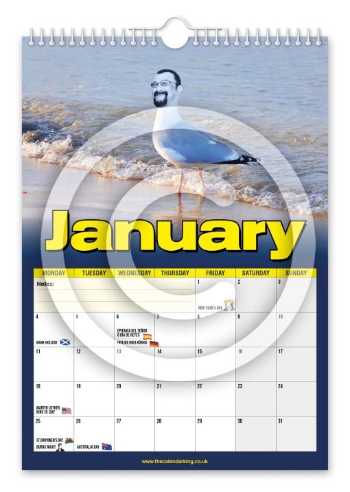 Steven the Seagull Novelty Calendar - Image 2