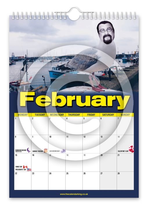 Steven the Seagull Novelty Calendar - Image 3