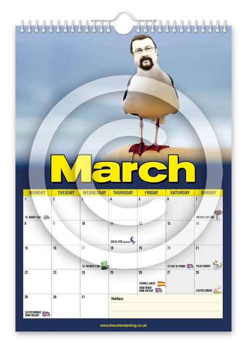 Steven the Seagull Novelty Calendar - Image 4