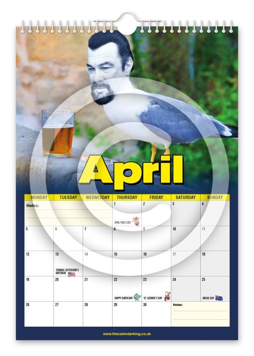 Steven the Seagull Novelty Calendar - Image 5