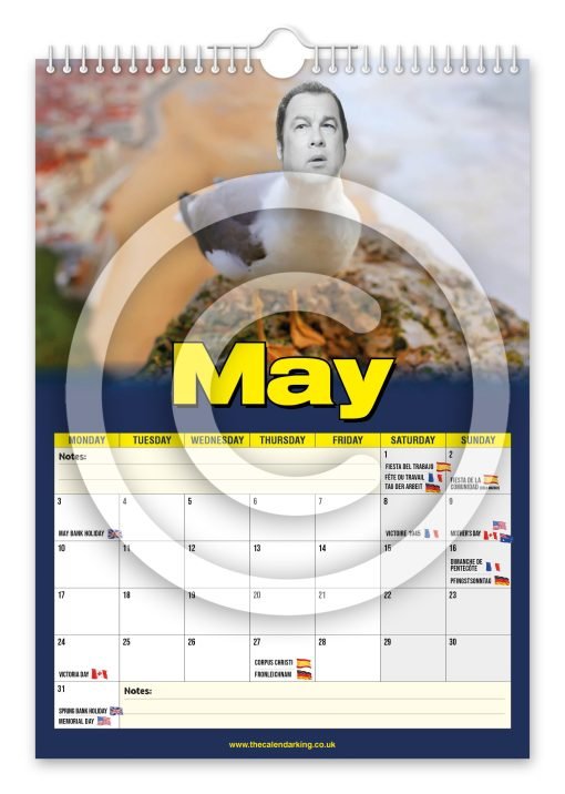 Steven the Seagull Novelty Calendar - Image 6