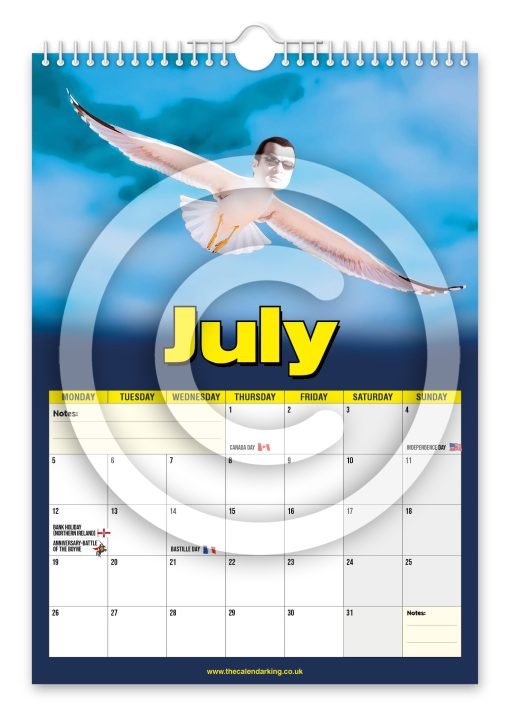 Steven the Seagull Novelty Calendar - Image 8