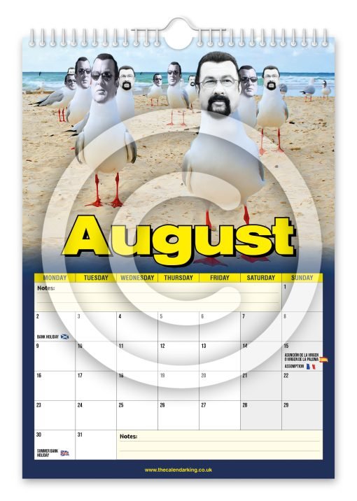 Steven the Seagull Novelty Calendar - Image 9