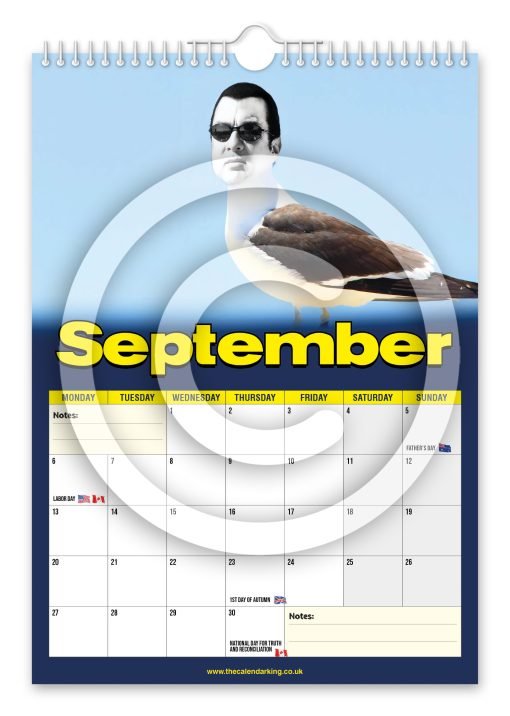 Steven the Seagull Novelty Calendar - Image 10