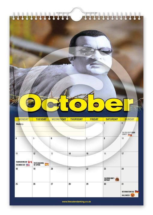 Steven the Seagull Novelty Calendar - Image 11