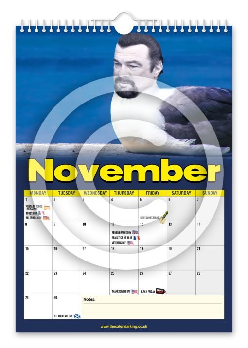 Steven the Seagull Novelty Calendar - Image 12
