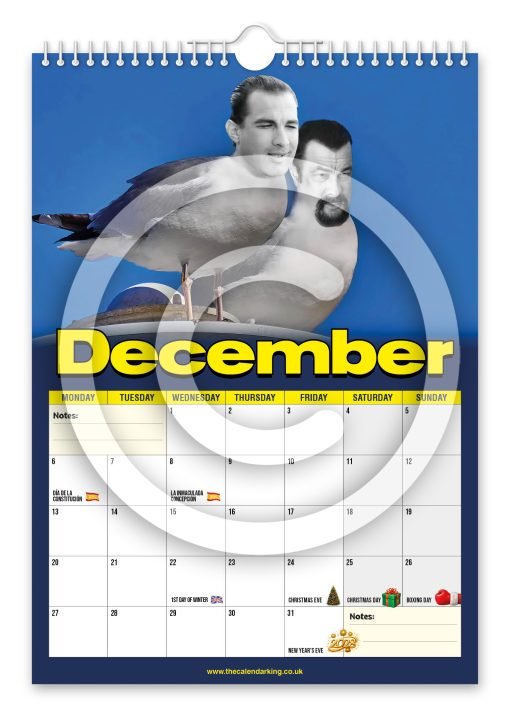 Steven the Seagull Novelty Calendar - Image 13