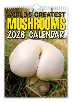 World's Greatest Mushrooms Novelty Calendar