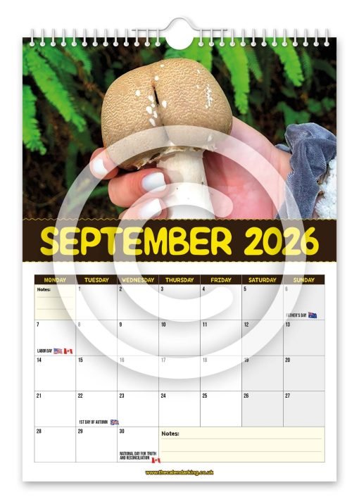 World's Greatest Mushrooms Novelty Calendar - Image 10