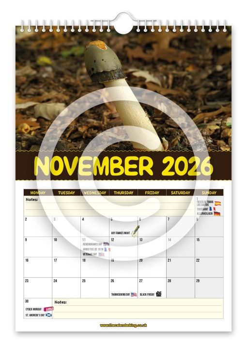 World's Greatest Mushrooms Novelty Calendar - Image 12