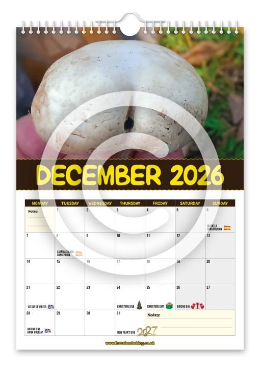 World's Greatest Mushrooms Novelty Calendar - Image 13
