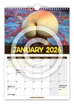 Alternative view of World's Greatest Mushrooms Novelty Calendar