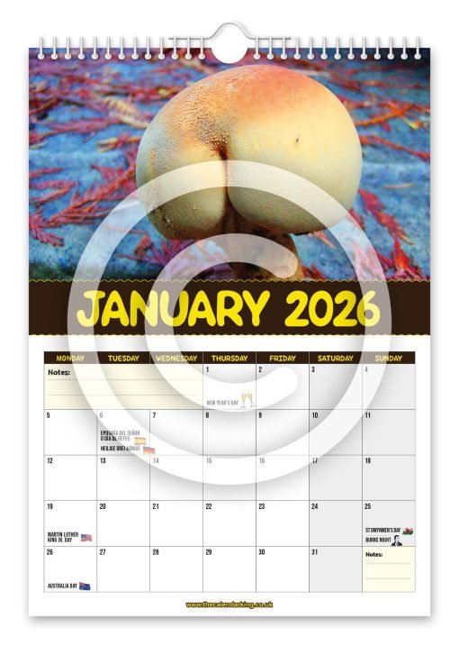 World's Greatest Mushrooms Novelty Calendar - Image 2