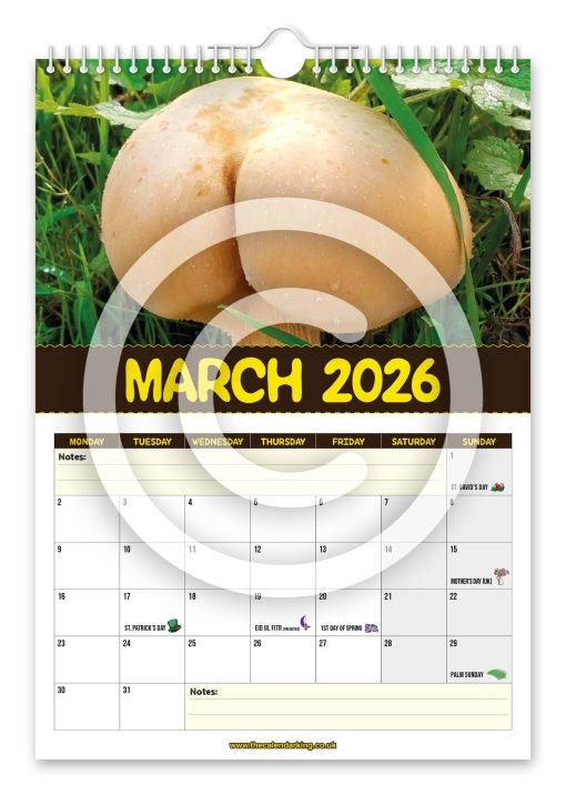World's Greatest Mushrooms Novelty Calendar - Image 4